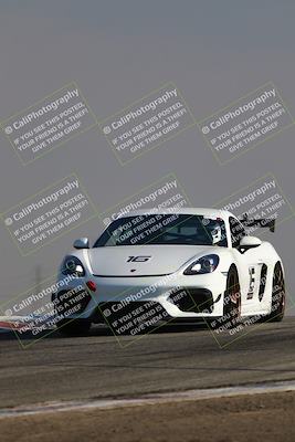 media/Jun-01-2025-PCA Golden Gate (Sun) [[9e4b10205a]]/Red/Session 1 (Grapevine)/